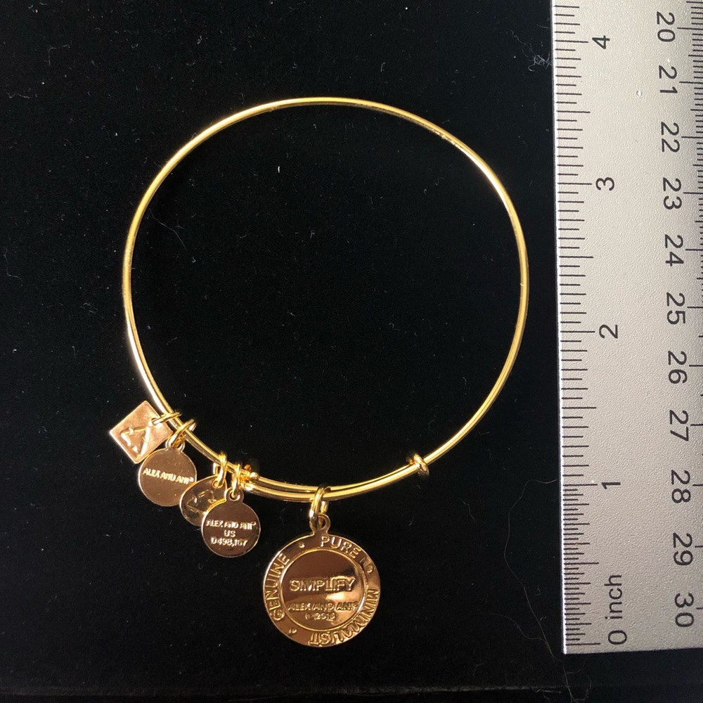 Alex and Ani Simplify Bangle